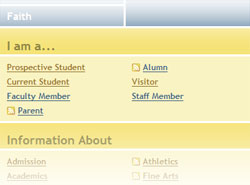 The "I am a..." section of the homepage concept